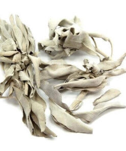 Witte Salie 40 gram