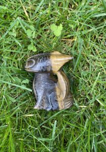 Bruine draak van Tijgeroog 001