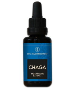 Chaga mushroom extract