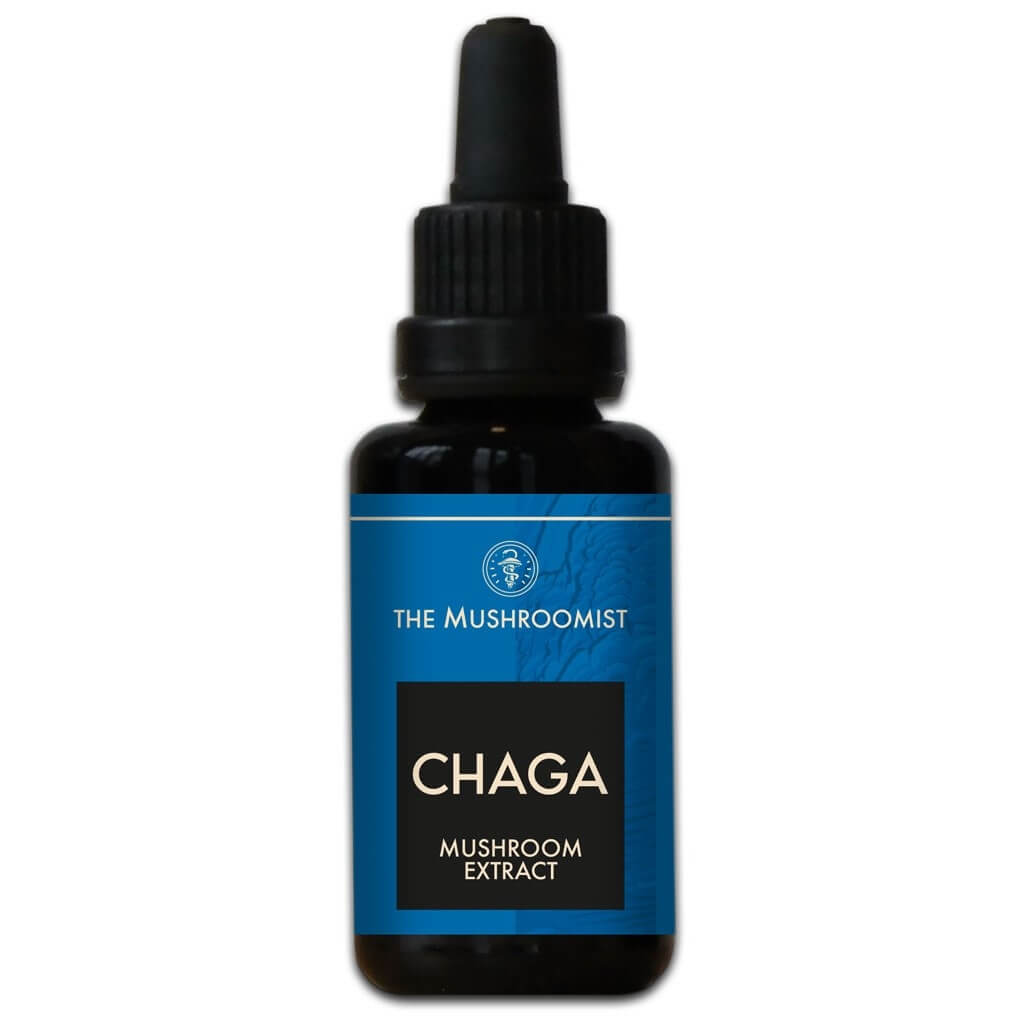 Chaga mushroom extract