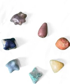 Chumpi Khuyas Chakra1