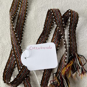 Chumpi watana CH2024106