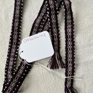 Chumpi watana CH2024107