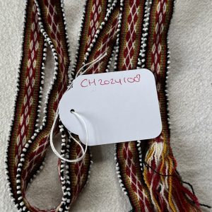 Chumpi watana CH2024108