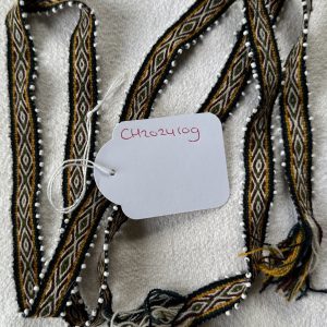 Chumpi watana CH2024109