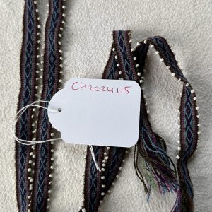 Chumpi watana CH2024115