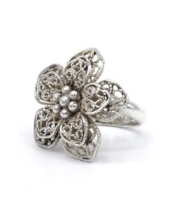 Coique zilveren ring