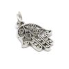 Hamsa hangertje