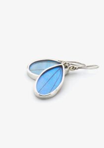 Alternative view of Iriserende Morpho Didius oorbellen druppel