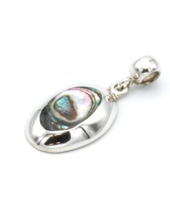 Kleine zilveren hanger met abalone schelp