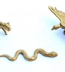 Krachtdieren Quatrologie