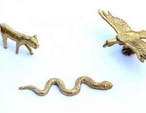 Krachtdieren Trilogie