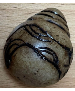 Luxe set Chumpi khuyas2