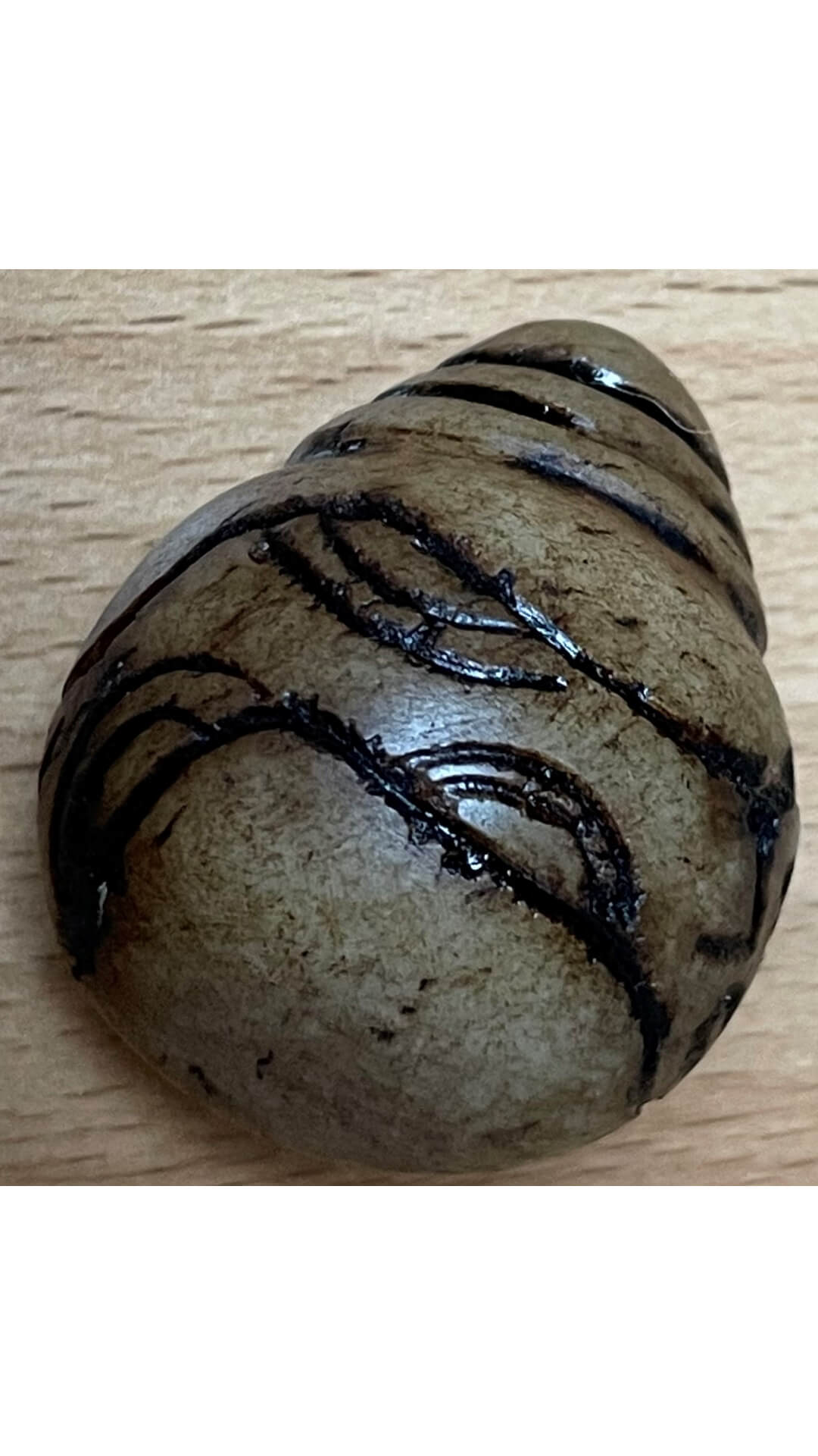 Luxe set Chumpi khuyas2