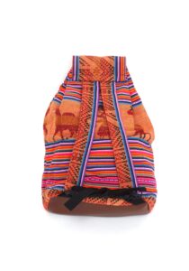 Alternative view of Tahuantinsuyo-design rugzak colorido