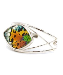 Urania Ripheus luxe zilveren armband